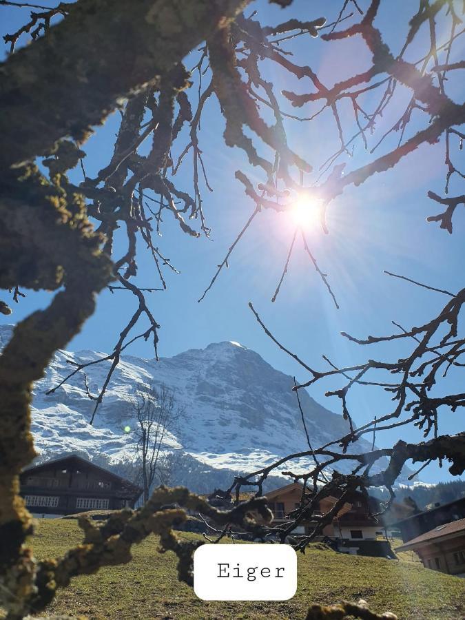 Chalet Waergistal Гриндельвальд Экстерьер фото