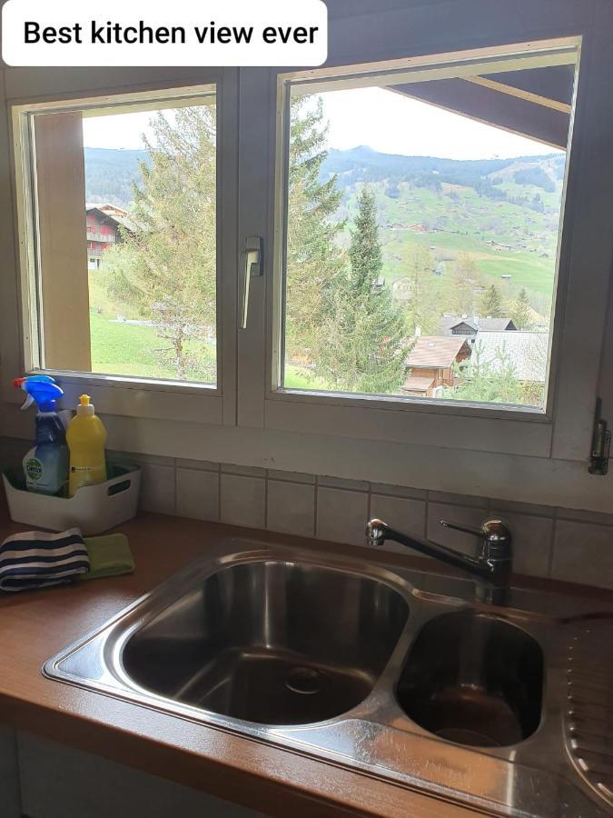 Chalet Waergistal Гриндельвальд Экстерьер фото