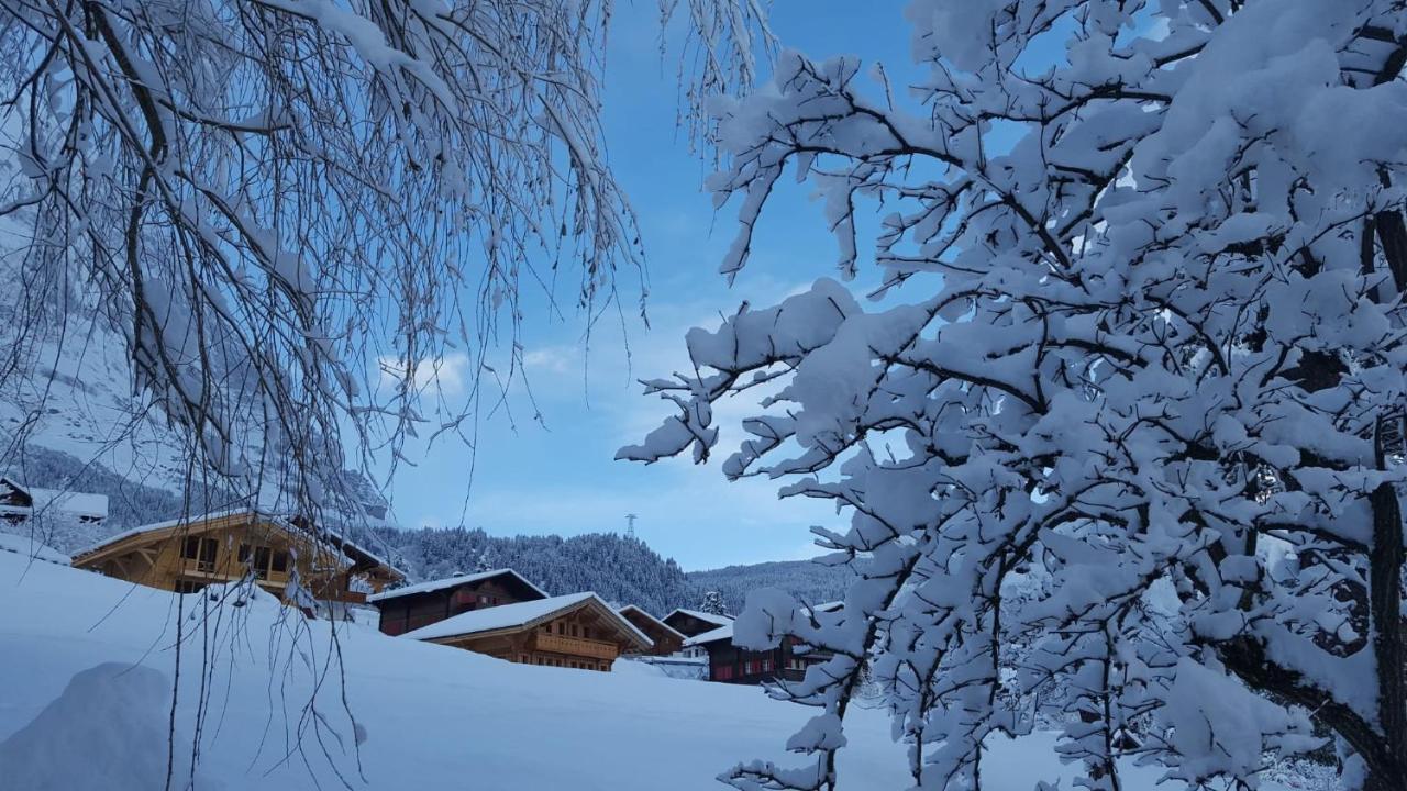 Chalet Waergistal Гриндельвальд Экстерьер фото